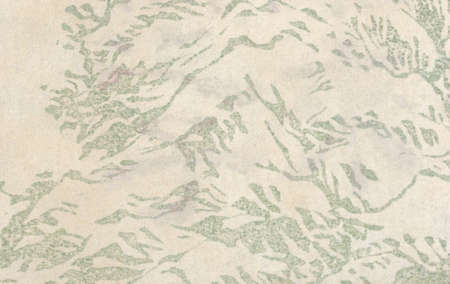 Closeup on aged japanese traditional paper with a floral printの写真素材