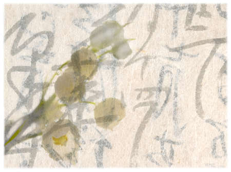 lily of the valley pattern and japanese handwriting on semitransparent traditional paperの写真素材
