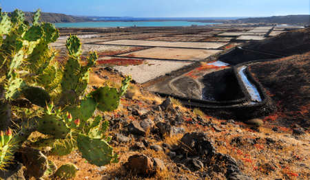 Salt fields, known as の写真素材
