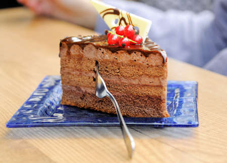 Closeup on a slice of a chocolate cake traditionally made in Pragueの写真素材
