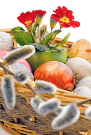 Easter backet with colored eggs, garlic. twigs and red primula flowersの写真素材