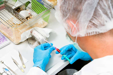 Researcher in lab coat and protective makes injection into mouse tailの写真素材