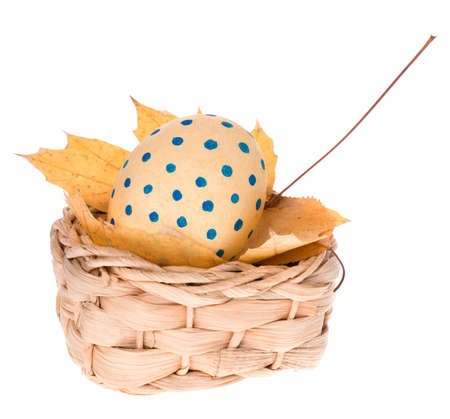 Painted Easter egg in handmade basket nesting in yellow leavesの写真素材