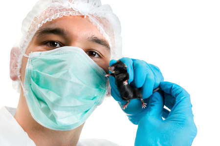 Scientist in protective wear holds experimental mouse; isolated on white backgroundの写真素材