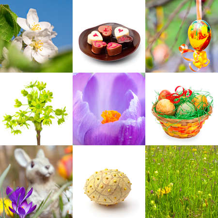 Easter collage; spring flowers and Easter symbols, composed from macro shots and isolated objectsの写真素材