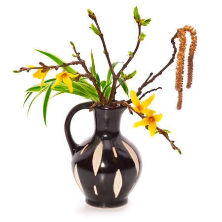 Spring flower arrangement with forsythia (Yellow Bells) の写真素材
