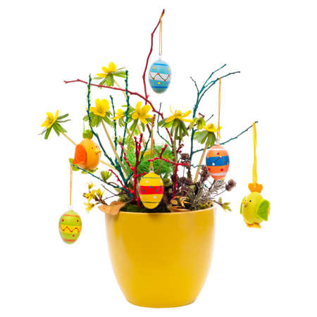 Flower arrangement with yellow aconites and easter eggs, isolated  on white backgroundの写真素材