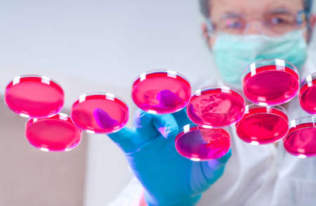 Scientist in protective gear handles several dishes with cultured cells in red culture mediumの写真素材