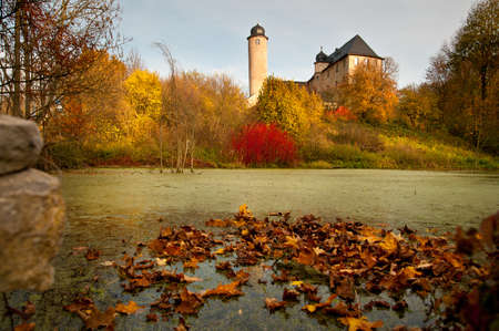 Pond with autumn leaves in Germanyの写真素材