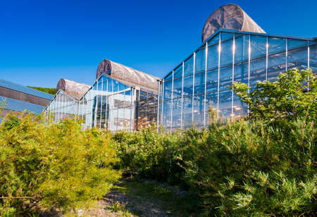 Greenhouses for testing of genetically modified cropsの写真素材