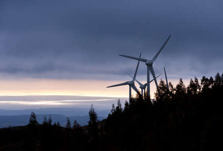 Three modern windmills behind a dark forest in twilightの写真素材