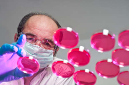 Scientist launches cell culture experimentの写真素材