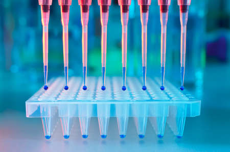 DNA samples are loaded to 96-well plate for PCR analysisの写真素材