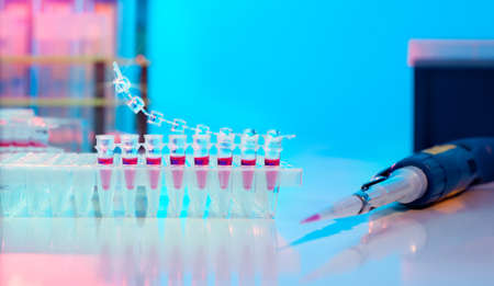 PCR stripe for DNA amplification and automatic pipetteの写真素材
