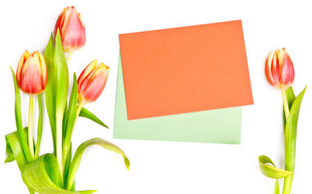 Red stripy tulips and orange envelope on white backgroundの写真素材
