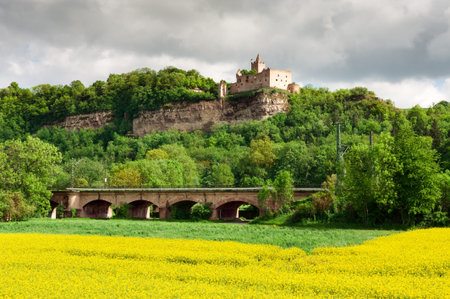 Rudelsburg castle in spring over rapeseed flower field