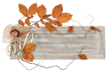 Wooden borad decorated with autumn leaves and a chestnut, copy spaceの写真素材