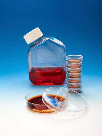 Bacterial plates and a flask of culture medium on blue gradient backgroundの写真素材