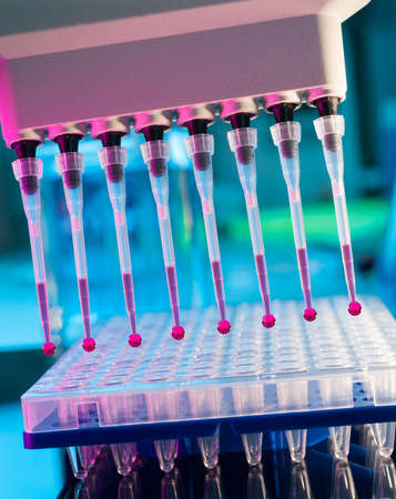 Tools for PCR amplification of DNA  96-well plate and automatic pipette の写真素材