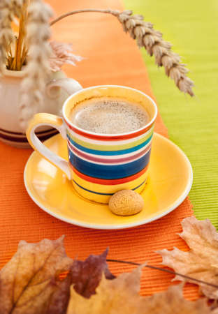 An expresso cup on Autumn backgroundの写真素材