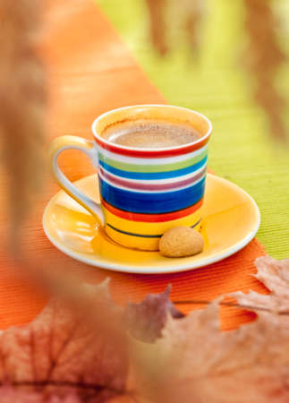 An espresso cup on Autumn backgroundの写真素材
