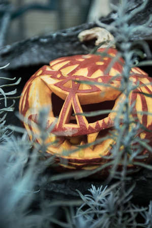 Carved halloween pumpkin, tinted pictureの写真素材