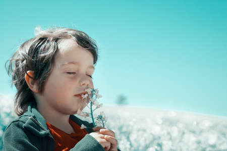 Little boy on the field sniffing a flowerの写真素材