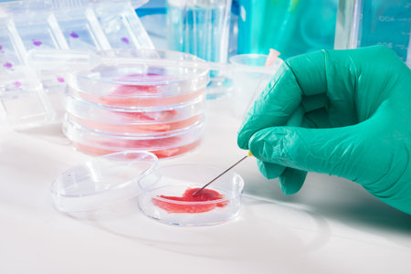 Meat cultured in laboratory conditions