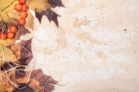 Autumn leaves on textured paper with coffee stains