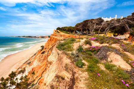 Coastline at Ohos de Aqua near Albufeira, Algarve, Portugal in spring with Hottentot Fig  Carpobrotus edulis  flowers in bloomの写真素材