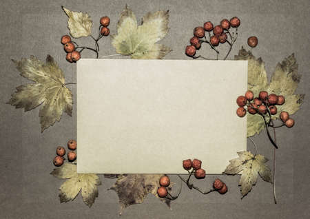 Autumn leaves and rowan berries on textured paper background, spaceの写真素材