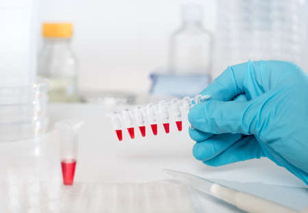 Samples to amplify DNA using PCR in gloved handの写真素材