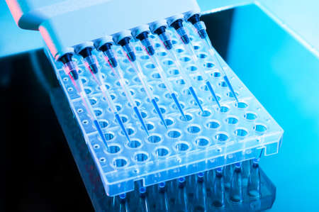 Tools for DNA analysis with PCR reaction, multipipette and 96-well plateの写真素材