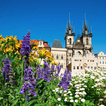 Flowers in front of Church of Mary before Tyn in Pragueの写真素材