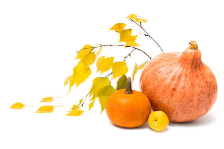 Autumn pumpkins, leaves and quitte on white backgroundの写真素材