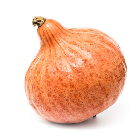 Hokkaido pumpkin on white backgroundの写真素材