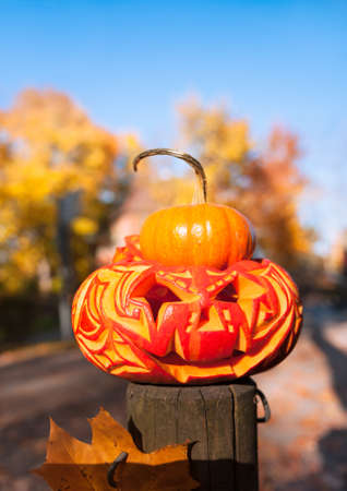 Halloween pumpkin on a poleの写真素材
