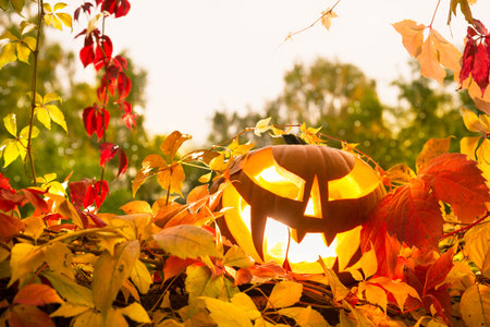 Halloween pumpkin surrounded by Autumn leaves