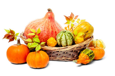 Basket with decorative pumpkins on white background の写真素材