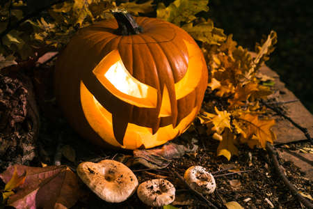 Halloween pumpkin outdoors with oak leaves and mushrooms の写真素材