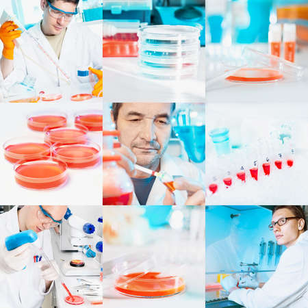 Scientists perform cell culture experiments, collageの写真素材