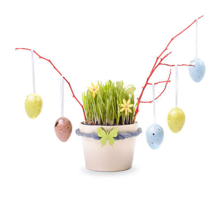 Grass pot decorated for Easter isolated on whiteの写真素材