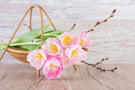 Pink tulips in the basket on wooden backgroundの写真素材