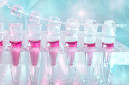 Tubes for DNA amplification by PCR の写真素材