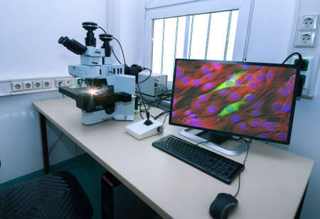 Modern microscope station with cultured cells on the monitorの写真素材