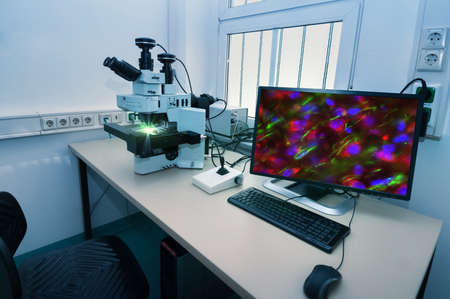 Modern microscope station with cell stained with antibody on the screenの写真素材