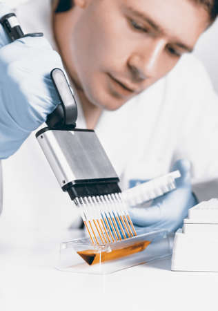 Setting up PCR reaction with multichannel pipetteの写真素材