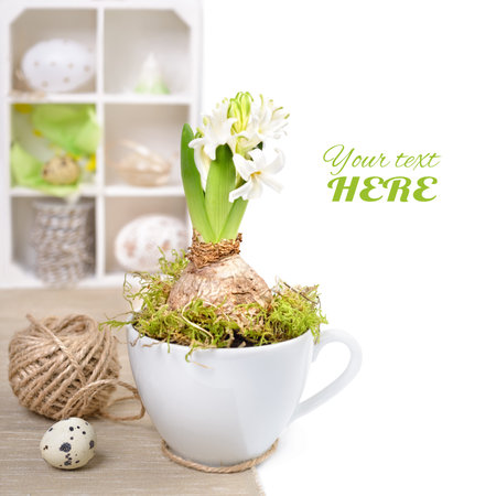 White hyacinth in a cup and Easter decorations in a white shadowcase, space for your text