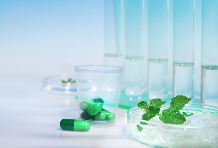 Peppermint capsules, research and development from fresh mint