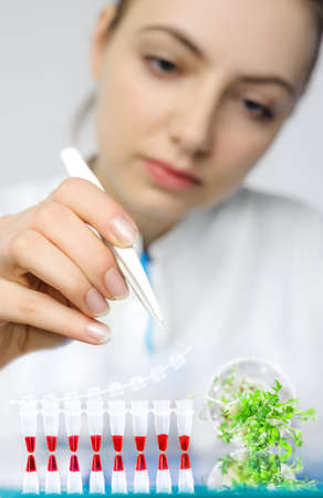 PCR control of bacterial contamination in cress-salat for general consumption, face of young tech out of focus. Shallow DOF, focus on the hand with tweezers.の写真素材